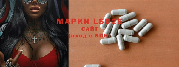 spice Белокуриха