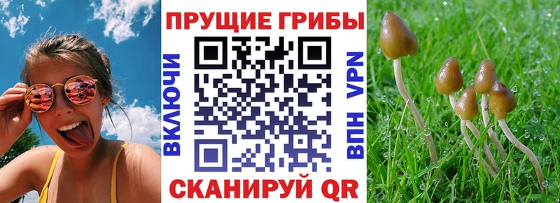 Псилоцибиновые грибы мухоморы Волчанск